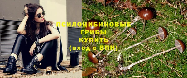 2c-b Алзамай